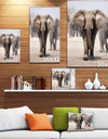 Elephant Herd - Africa Animals Photography on Wrapped Canvas