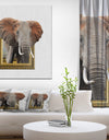 Elephant in Wooden Frame - Africa Animals photography on Wrapped Canvas