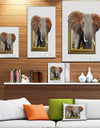 Elephant in Wooden Frame - Africa Animals photography on Wrapped Canvas