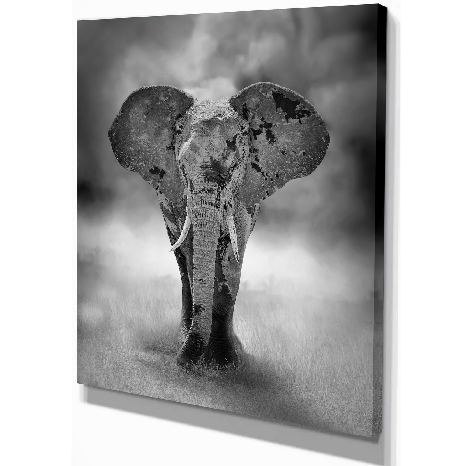 Kenya Africa Large Elephant Bull - Africa Animals photography on Wrapped Canvas