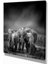 Group of Elephant in Black Background - Africa Animals photography on Wrapped Canvas