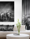 Group of Elephant in Black Background - Africa Animals photography on Wrapped Canvas