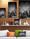 Group of Elephant in Black Background - Africa Animals photography on Wrapped Canvas