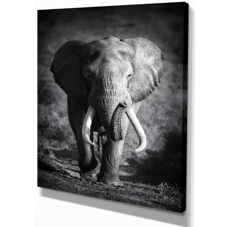 Elephant Bull - Africa Animals Photography on Wrapped Canvas