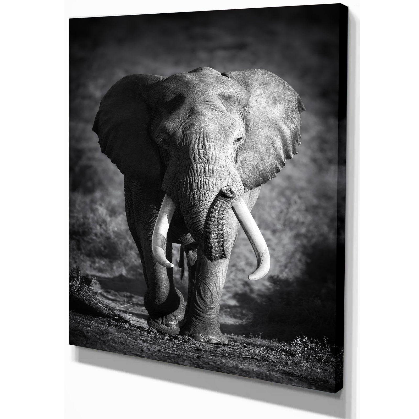 Elephant Bull - Africa Animals Photography on Wrapped Canvas