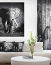 Elephant Bull - Africa Animals Photography on Wrapped Canvas