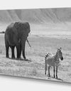 African Elephant and Zebra - Africa Animals Photography on Wrapped Canvas