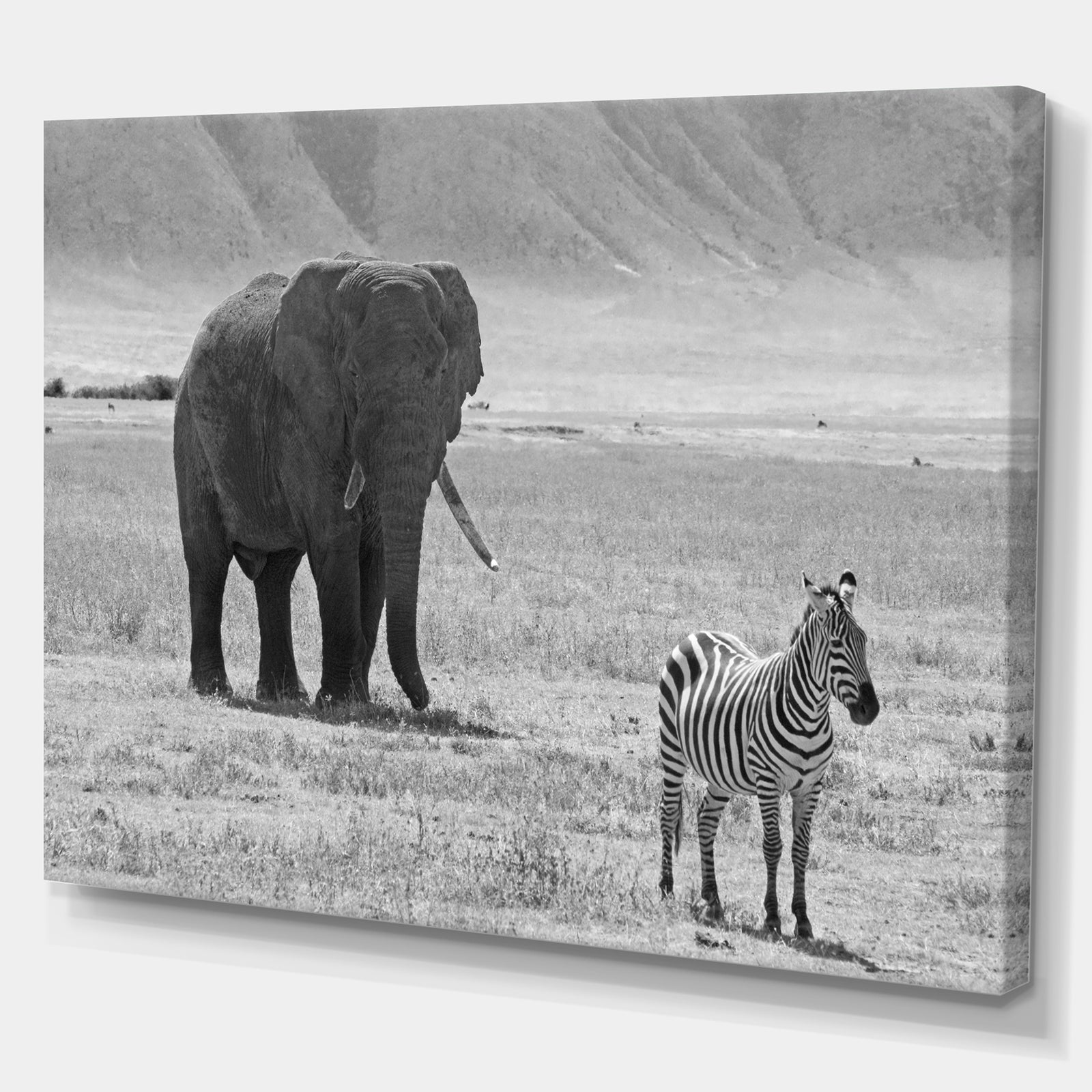 African Elephant and Zebra - Africa Animals Photography on Wrapped Canvas