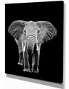 Elephant on dark - Africa Animals Photography on Wrapped Canvas