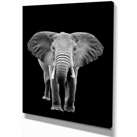 Elephant on dark - Africa Animals Photography on Wrapped Canvas
