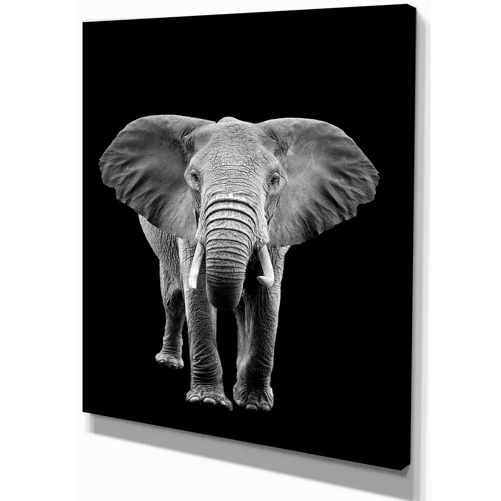 Elephant on dark - Africa Animals Photography on Wrapped Canvas
