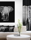 Elephant on dark - Africa Animals Photography on Wrapped Canvas