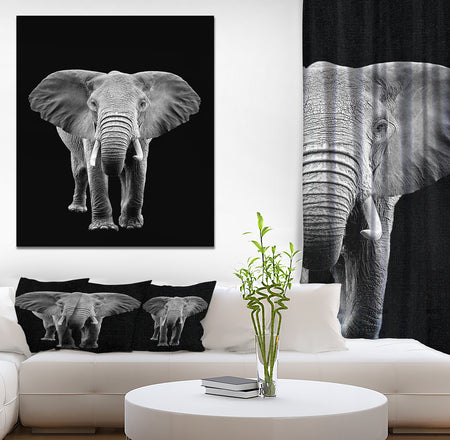 Elephant on dark - Africa Animals Photography on Wrapped Canvas