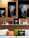 Elephant on dark - Africa Animals Photography on Wrapped Canvas