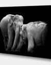 Two Elephant in the Dark - Africa Animals Photography on Wrapped Canvas