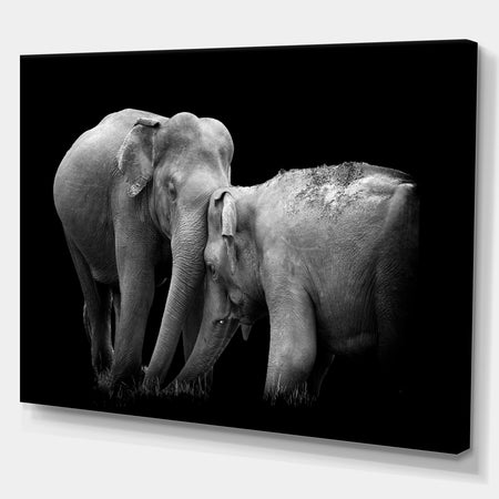 Two Elephant in the Dark - Africa Animals Photography on Wrapped Canvas