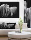 Two Elephant in the Dark - Africa Animals Photography on Wrapped Canvas