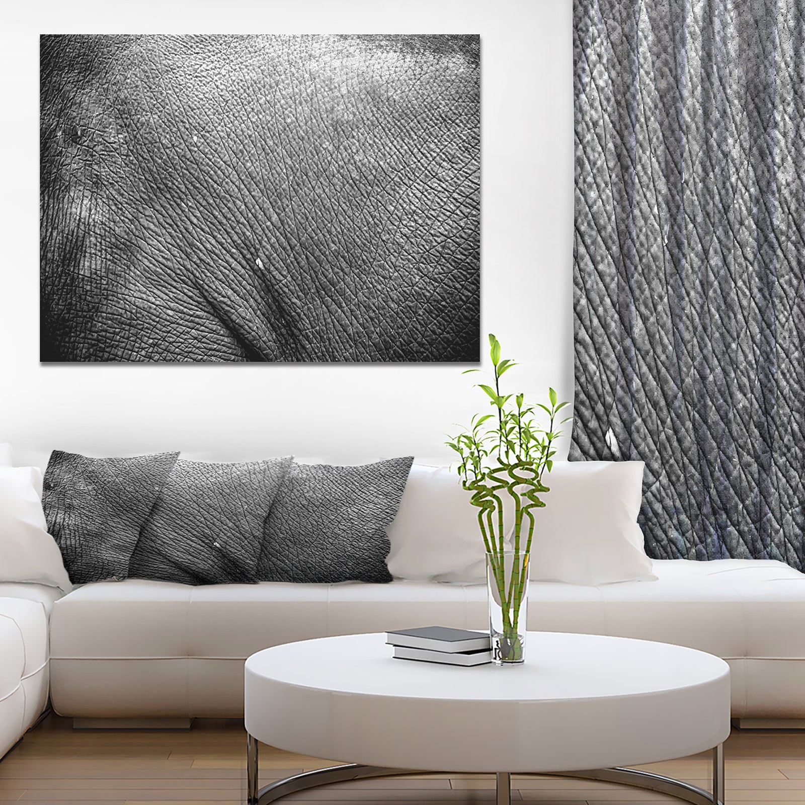 Asia Elephant Skin - Africa Animals Photography on Wrapped Canvas
