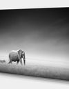 Elephant with Small Zebra - Africa Animals Photography on Wrapped Canvas