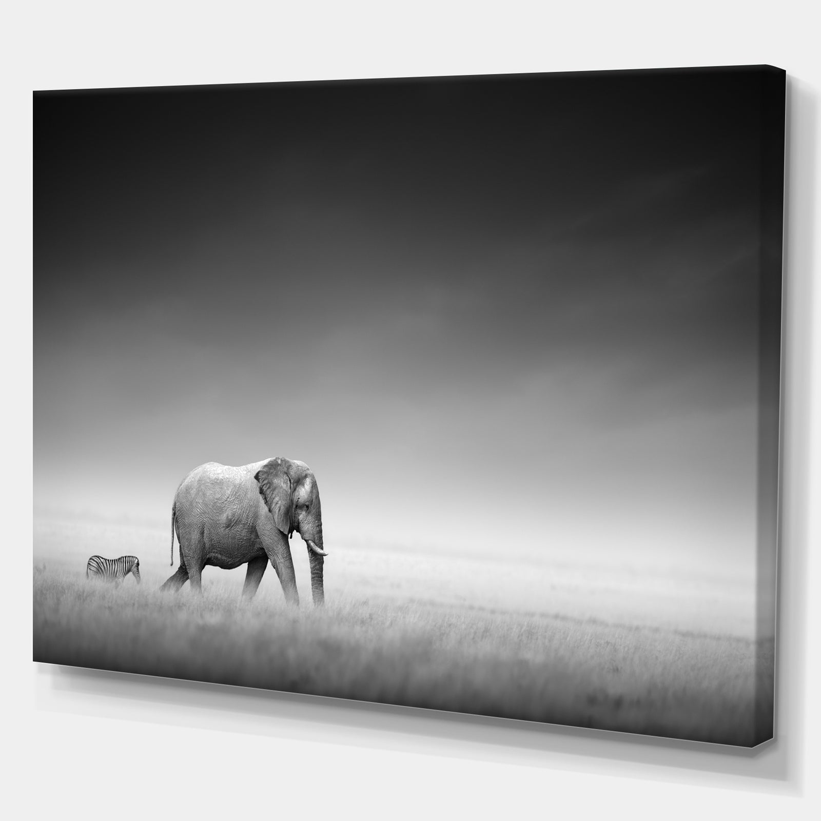 Elephant with Small Zebra - Africa Animals Photography on Wrapped Canvas