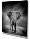 African Elephant in Dark Background - Africa Animals Photography on Wrapped Canvas