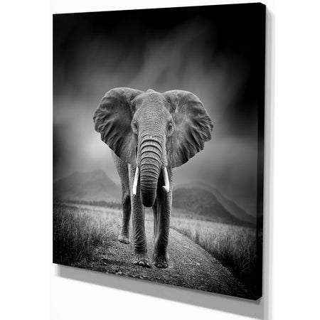 African Elephant in Dark Background - Africa Animals Photography on Wrapped Canvas