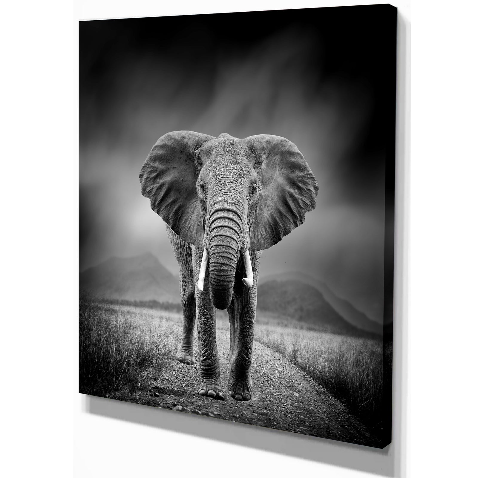 African Elephant in Dark Background - Africa Animals Photography on Wrapped Canvas