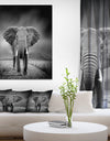 African Elephant in Dark Background - Africa Animals Photography on Wrapped Canvas