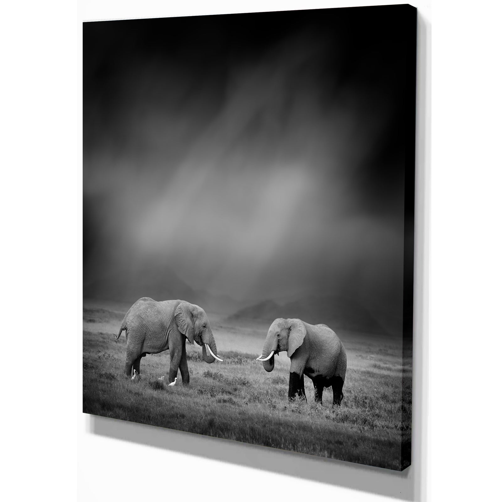 Two African Elephant in Dark Background - Africa Animals Photography on Wrapped Canvas