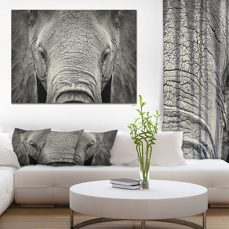 Close up African Elephant - Africa Animals Photography on Wrapped Canvas