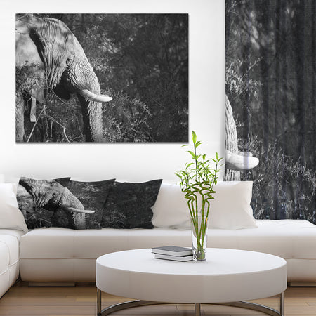 Elephant at Kruger National Park in Grayscale - Africa Animals Photography on Wrapped Canvas