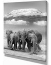 Elephant on Kilimanjaro mount - Animals Photography Print on Wrapped Canvas