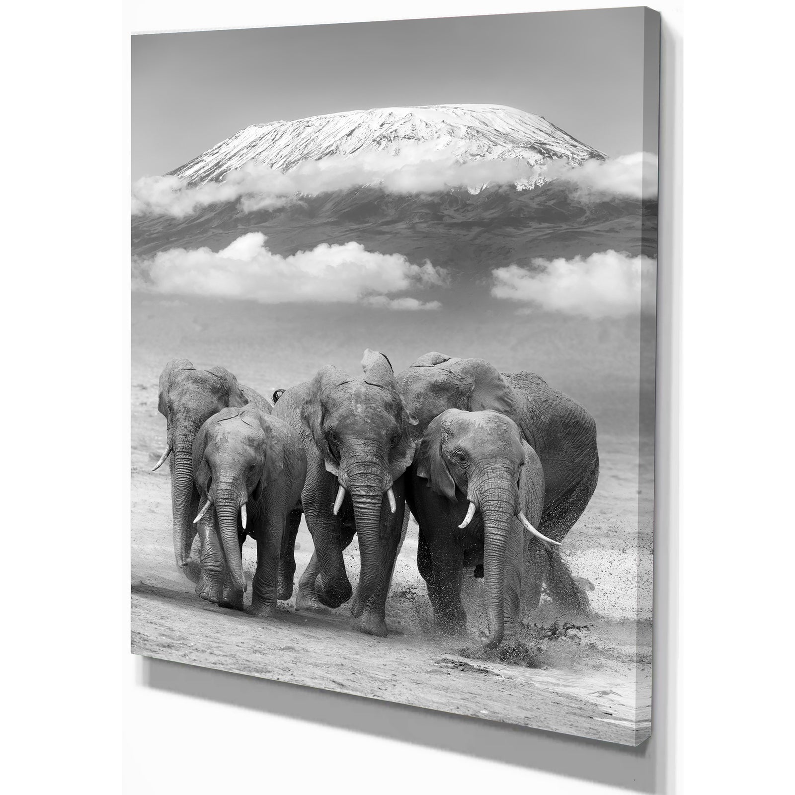 Elephant on Kilimanjaro mount - Animals Photography Print on Wrapped Canvas
