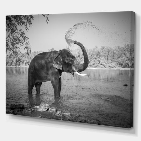 Elephant bathing - Africa Animals Photography on Wrapped Canvas