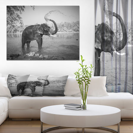 Elephant bathing - Africa Animals Photography on Wrapped Canvas