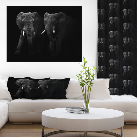 Two African Elephant Bulls - Africa Animals Photography on Wrapped Canvas