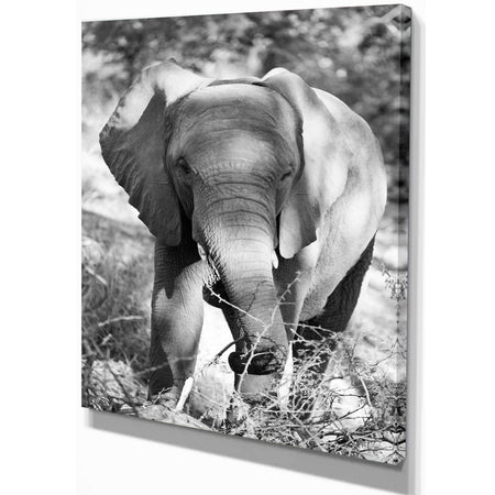 Elephant at Kruger National Park - Africa Animals Photography on Wrapped Canvas