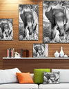 Elephant at Kruger National Park - Africa Animals Photography on Wrapped Canvas