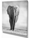 African Elephant in the Wild - Africa Animals Photography on Wrapped Canvas