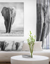 African Elephant in the Wild - Africa Animals Photography on Wrapped Canvas