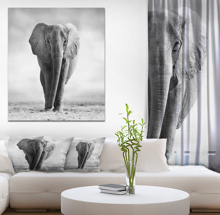 African Elephant in the Wild - Africa Animals Photography on Wrapped Canvas