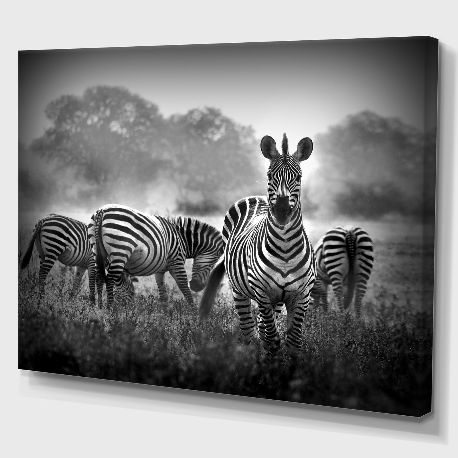 Zebra in black and white - Africa Animals Photography on Wrapped Canvas