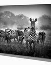 Zebra in black and white - Africa Animals Photography on Wrapped Canvas