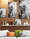 Close up of an elephant eating - Africa Animals Photography on Wrapped Canvas