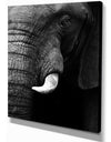 Elephant Head Close Up - Africa Animals Photography on Wrapped Canvas