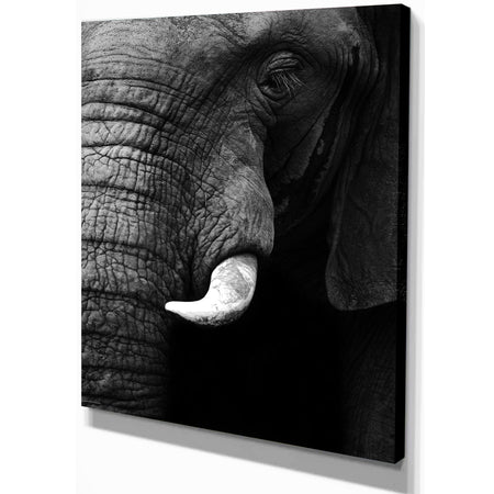 Elephant Head Close Up - Africa Animals Photography on Wrapped Canvas