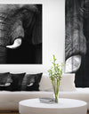 Elephant Head Close Up - Africa Animals Photography on Wrapped Canvas