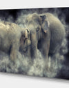 Sri Lanka National Park Elephant in smoke - Animals Photography on Wrapped Canvas