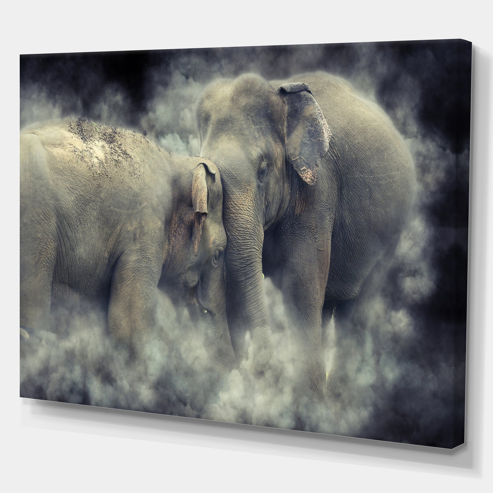 Sri Lanka National Park Elephant in smoke - Animals Photography on Wrapped Canvas