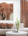 Elephant in National park of Kenya - Animals Photography on Wrapped Canvas